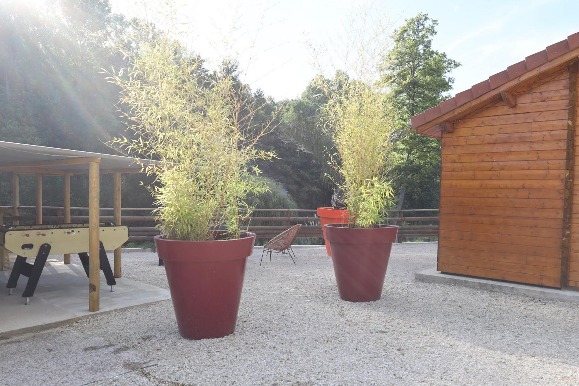 Les Chalets Du Marais Saint-Pierre-Aigle Buitenkant foto